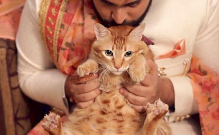 MakSiff Studio - Best Wedding & Candid Photographer in  Delhi NCR
