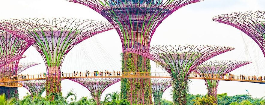 Photo of Gardens by the Bay, Singapore Prices, Rates and Menu Packages | BookEventZ
